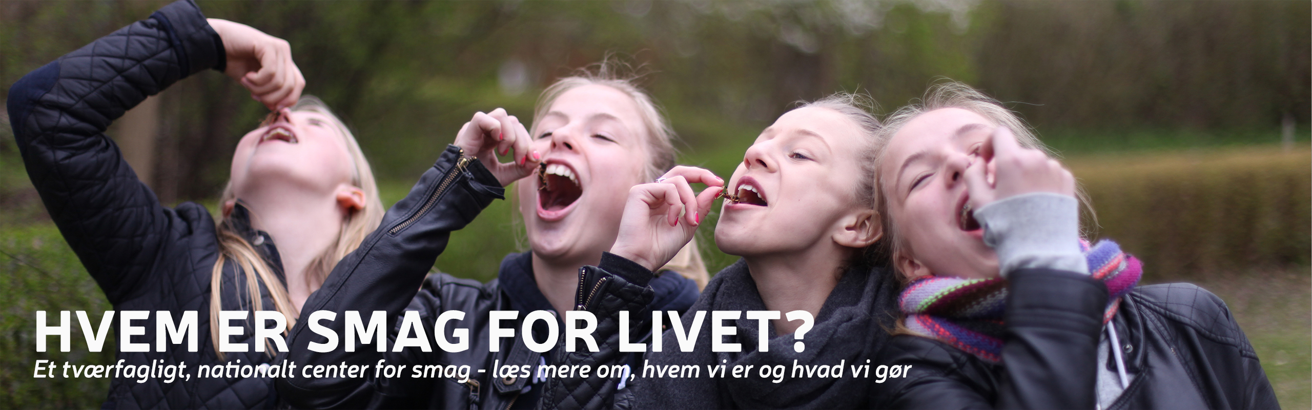 Hvem er Smag for Livet | smagforlivet.dk