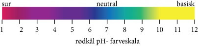 Farveskala for pH målt med rødkål