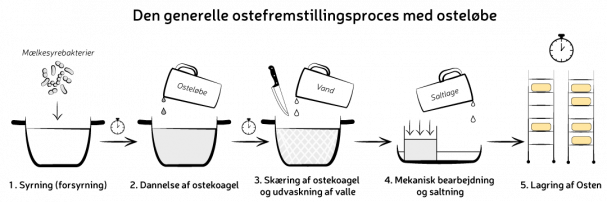 Ostefremstillingsprocessen. Grafik: Morten Christensen Ostefremstillingsprocessen. Grafik: Morten Christensen