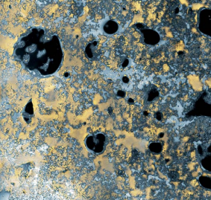 Mikroskopibillede af flødeskum. De store, mørke bobler i strukturen er luft, og væggene mellem boblerne består overvejende af fedtstof.