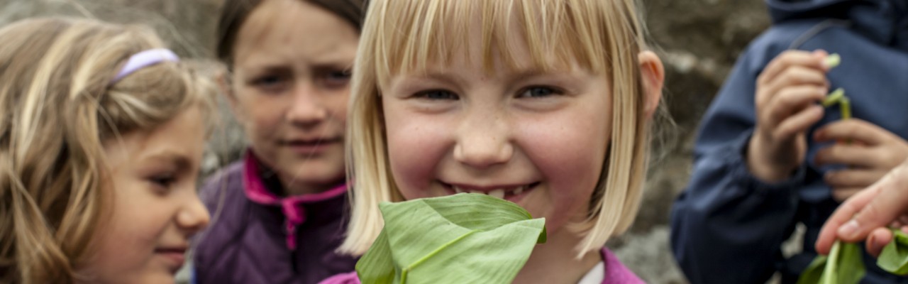 Tarup Skoles 5.a skal smage på vilde urter i forløbet "Smag for Naturen". Foto: Stagbird.