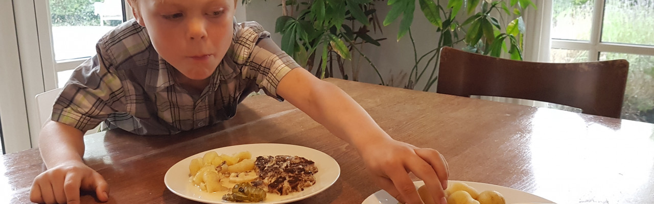 Forskning bekræfter nu, at børn kan have klare ønsker om, hvordan maden ligger på tallerkenen. Foto: Københavns Universitet