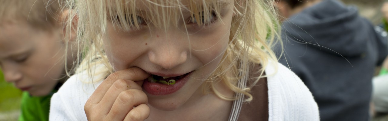 Julia Sick har undersøgt børns grunde til at acceptere eller afvise forskellige madvarer. Foto: Stagbird