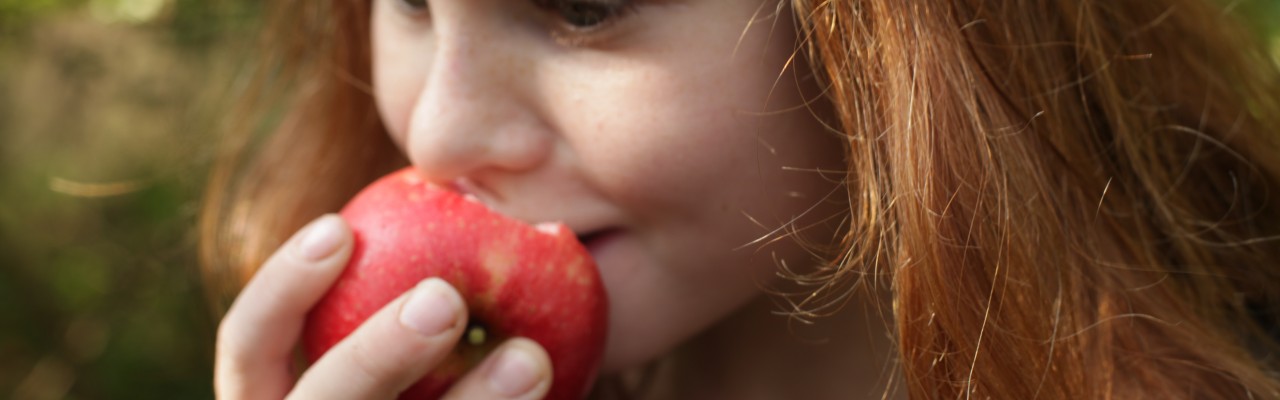 Medbring dine egne æbler, så måler vi sprødhed og sødme i dem. Foto: Stagbird