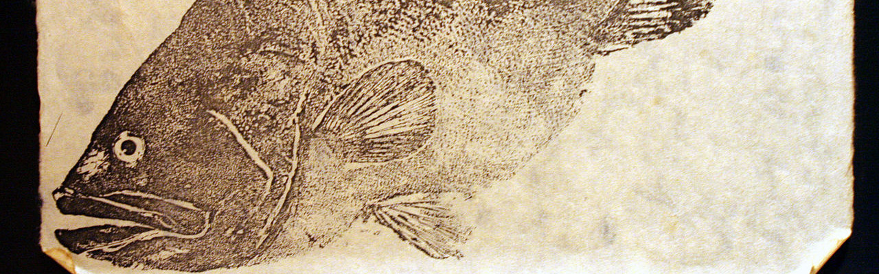 Gyotaku efter gammel japansk tradition
