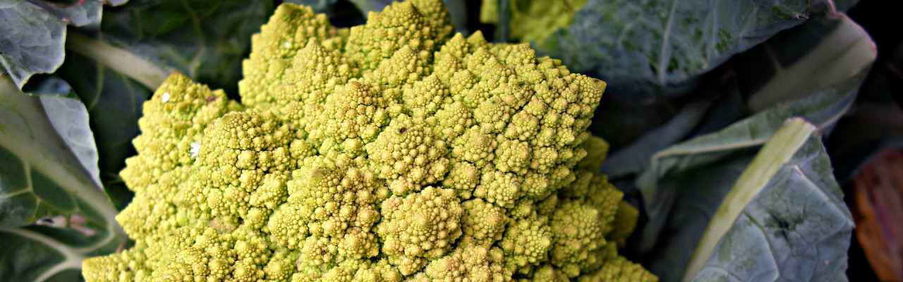 Grøntsager som f.eks. romanesco indeholder kostfibre. Foto: Pixabay