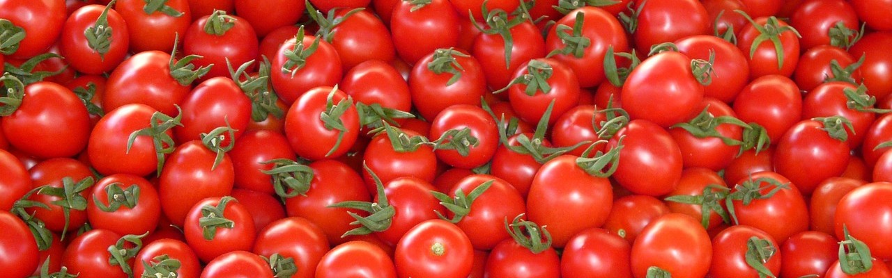 Tomater smager af umami - MSG.